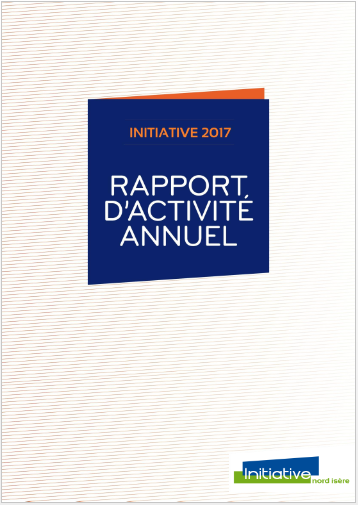 Picto_rapport-activite-2017.png
