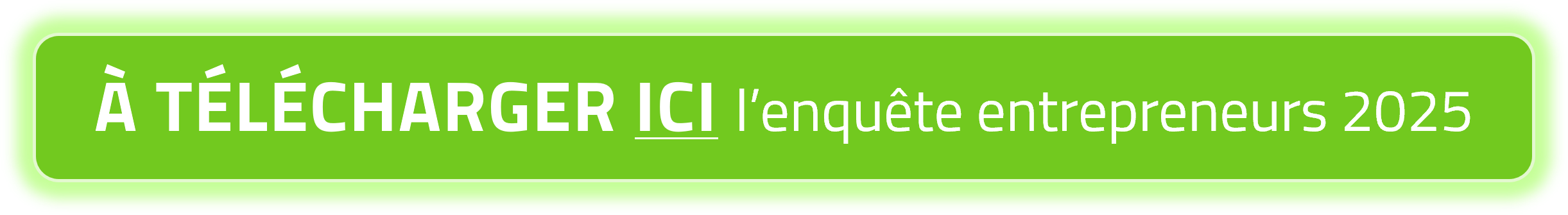 Bouton_enqueteIF-2025.png