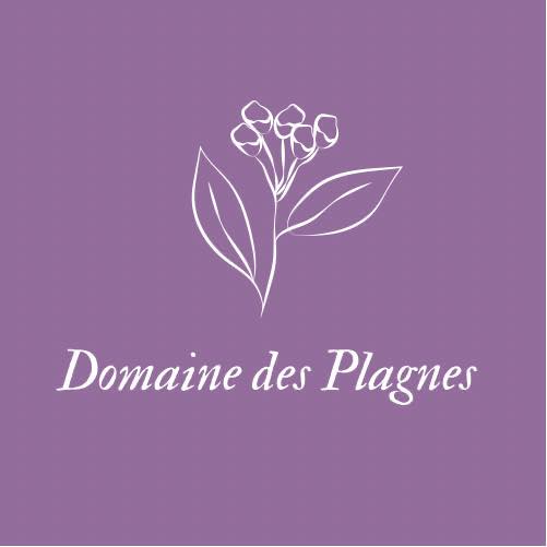 Logo_domaine-des-plagnes.jpg